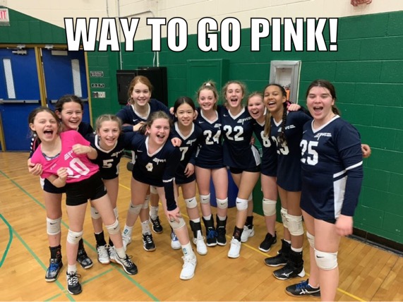 PVC-12-Pink-PLQualifier PVC 12-Pink CEVA Power League Qualifier